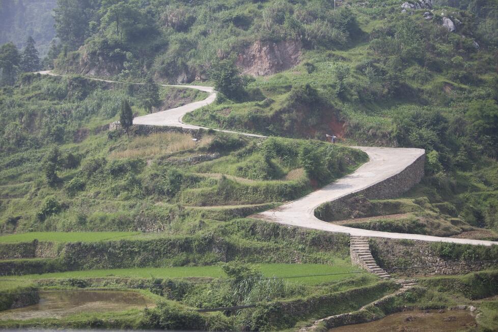 Winding road through farms